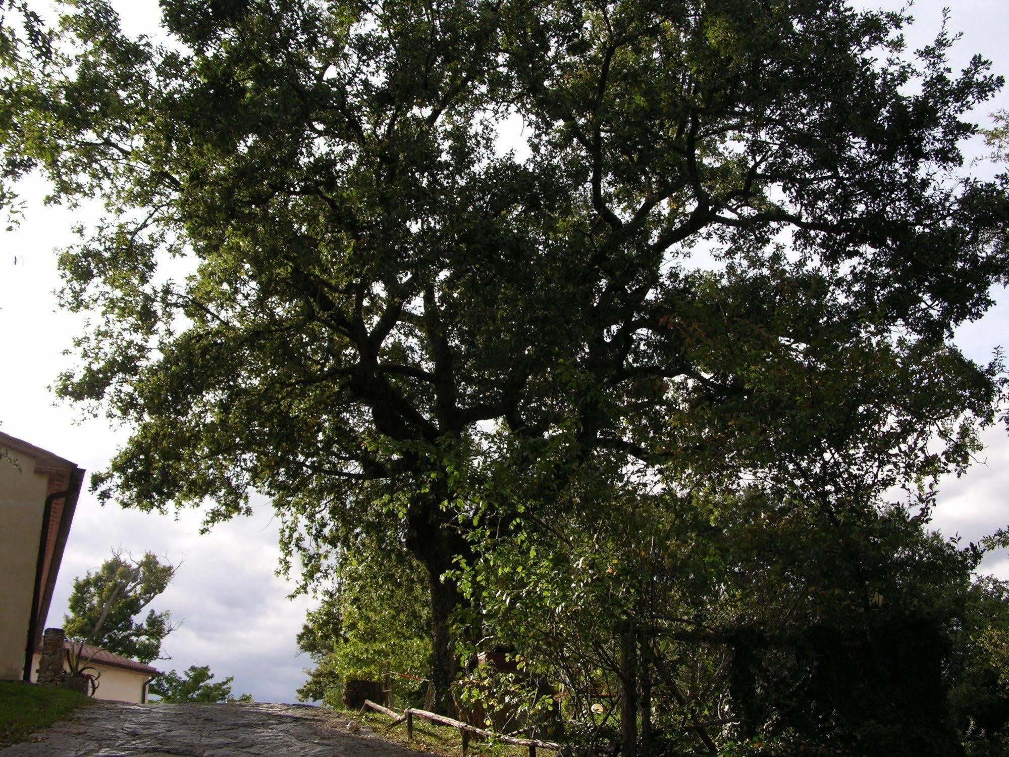 Agriturismo La Meria Semproniano Kültér fotó